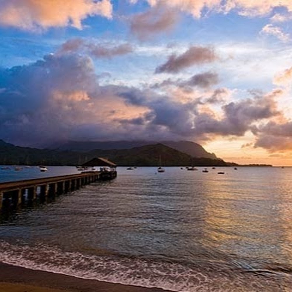 Meet your Posher, Salome